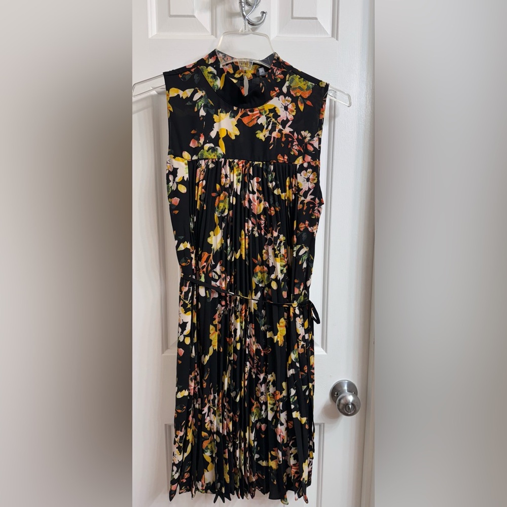 Spenser Jeremy Beautiful Pleated Black Floral Sleeveless Lined Dress, Size 8